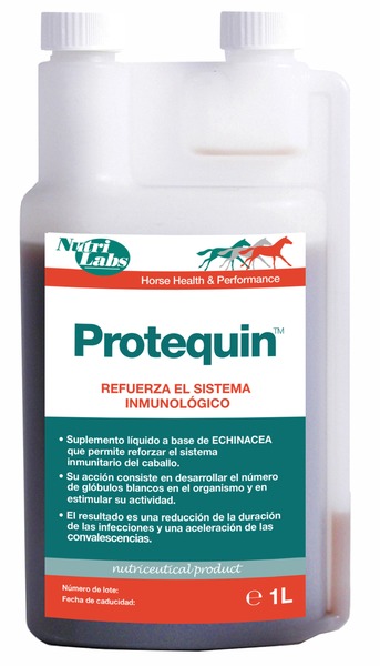 Protequin, sistema inmunológico