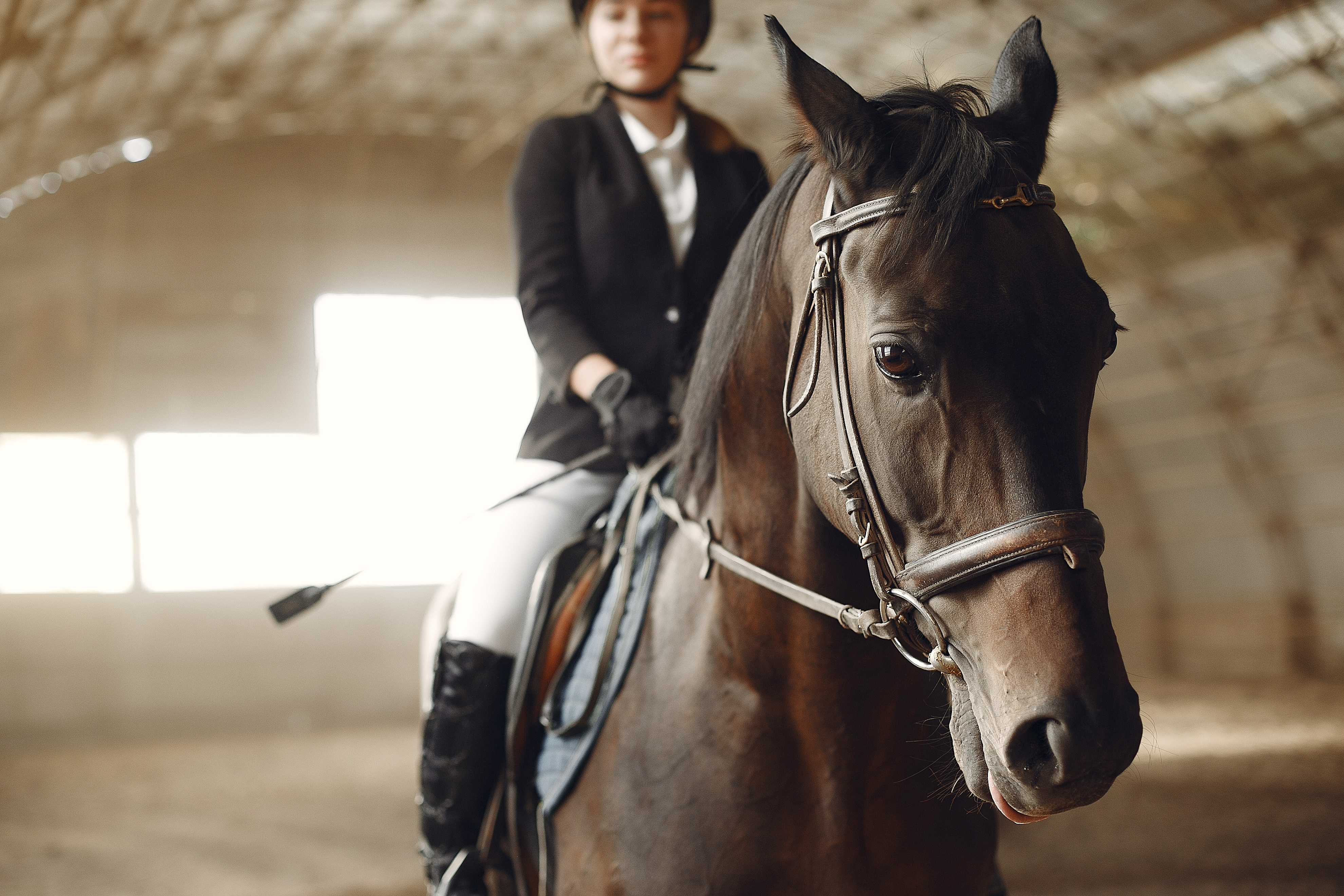 Caballo doma, nervios