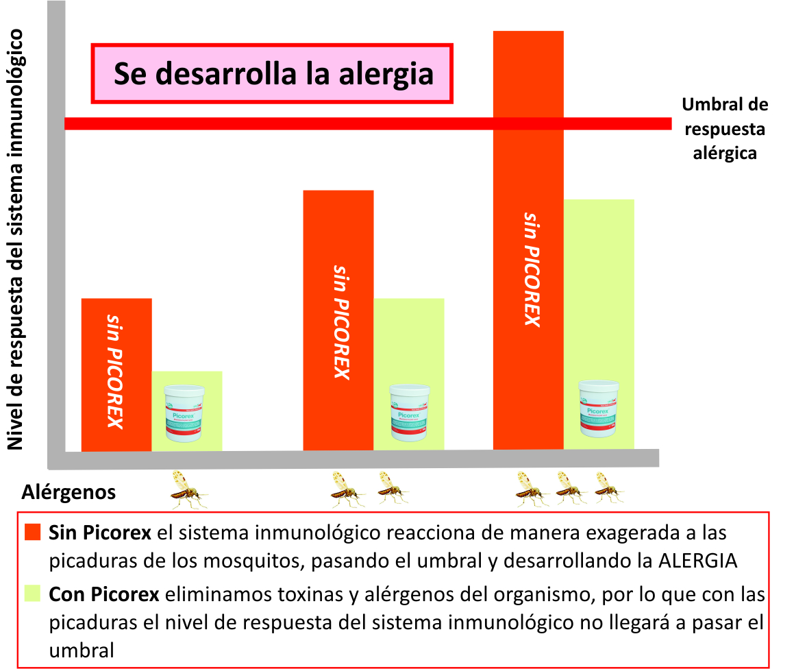 Gráfico Picorex