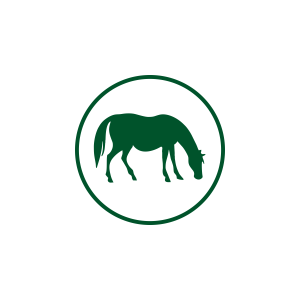 REPRODUCCIÓN EQUINA
