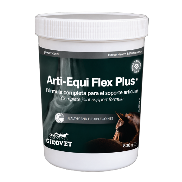 ARTI EQUIFLEX PLUS 800 GR