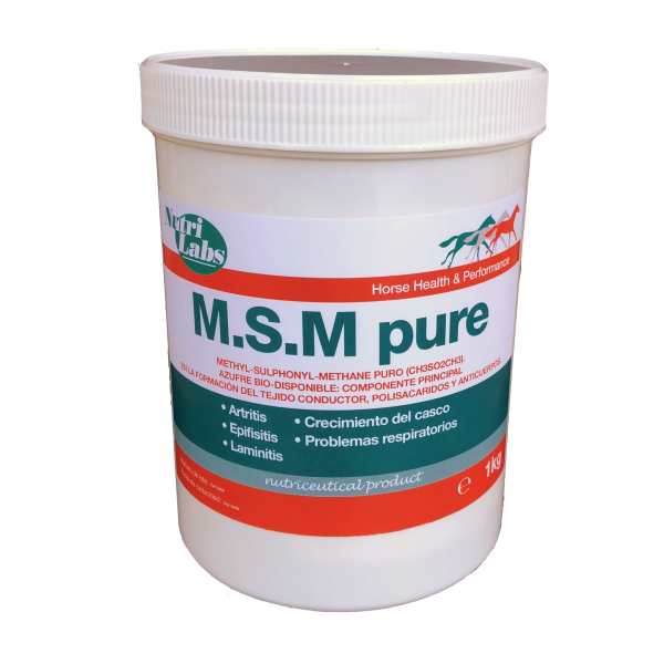 MSM PURE 100% 1KG 
