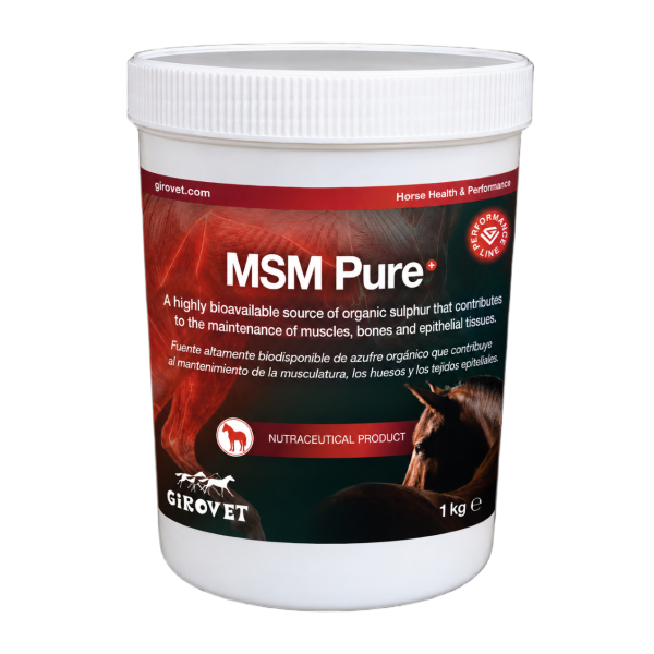 MSM PURE 1 KG 