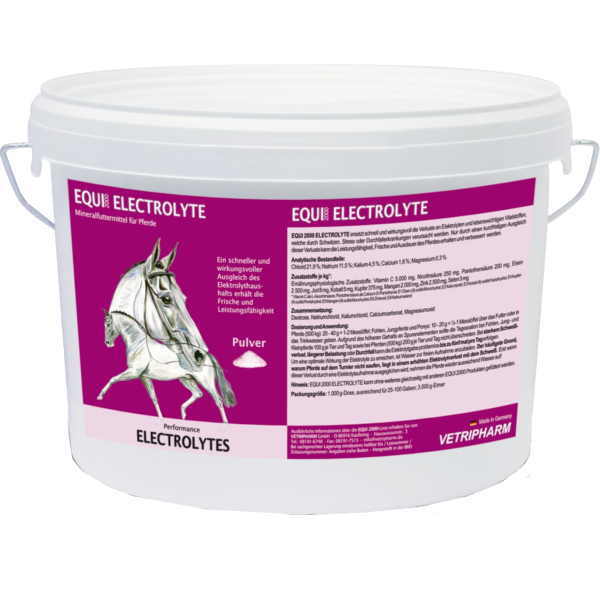 EQUI 2000 ELECTROLYTE 25KG