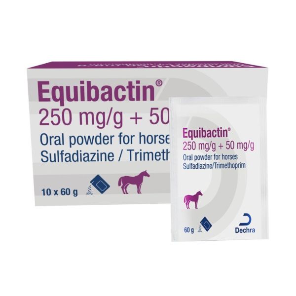 EQUIBACTIN POLVO 10X60GR