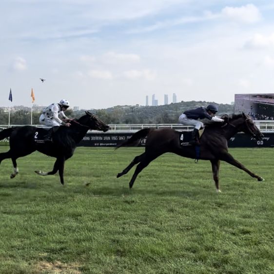 Les Courses à l'Hippodrome de Madrid