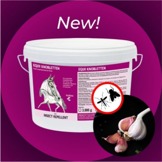 Nouveau: Granulés d'ail Equi2000 Knobletten