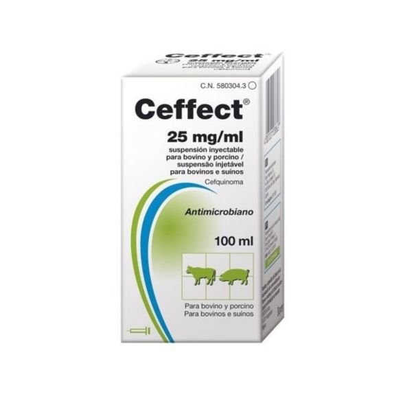 CEFFECT 25MG/ML 100ML