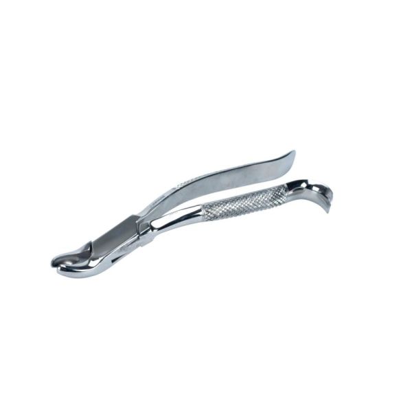 EXTRACTEUR DENTAIRE ÉQUINE DE DENTS DE LOUP — 25CM