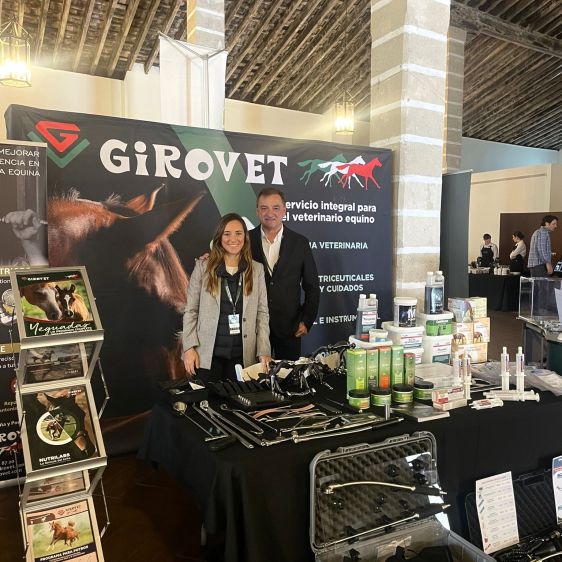 XIVe Congrès AVEE - Jerez de la Frontera