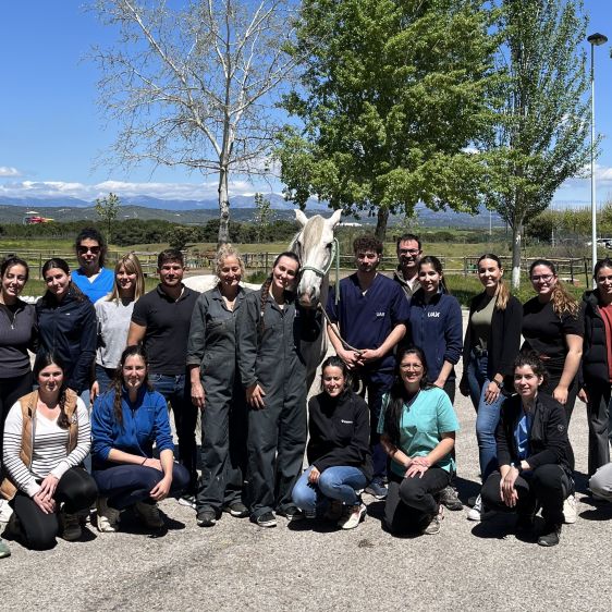 Cours de dentisterie équine à l'UAX - 25-26 avril 2025