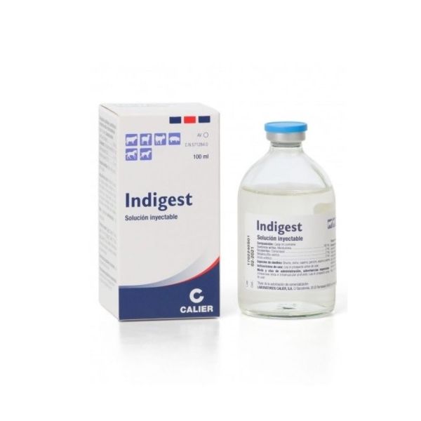 INDIGEST 100MG/ML INJ. SOL.