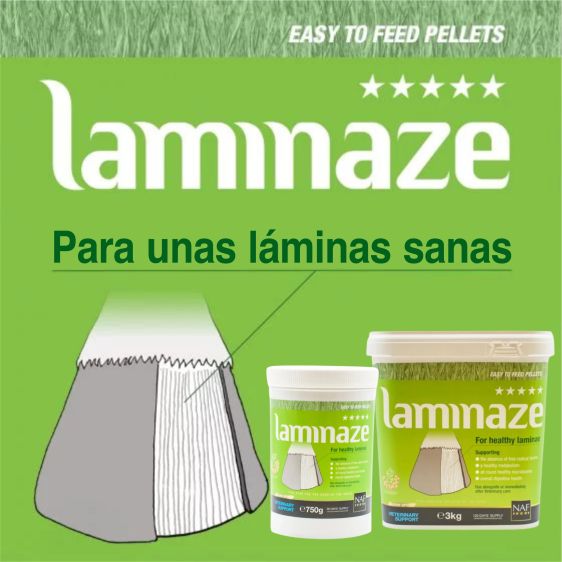 Nouveau: Laminaze Pellets