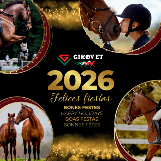 GIROVET vous souhaite de JOYEUSES FÊTES !