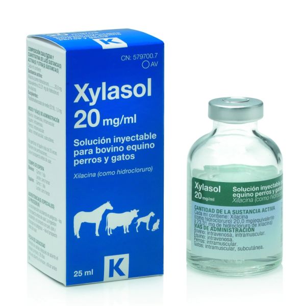 XYLASOL 20 MG/ML 25 ML