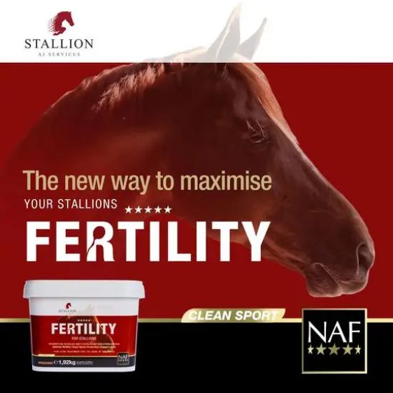 Noveau! FERTILITY