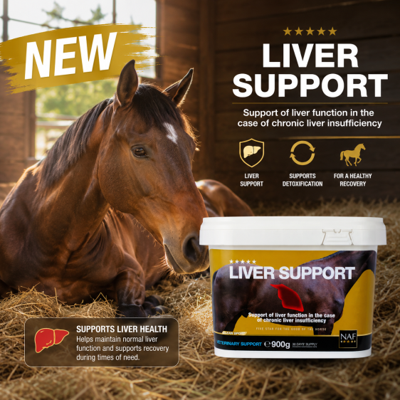 Noveau! LIVER SUPPORT