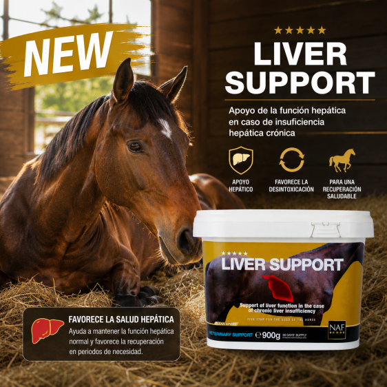 ¡Novedad! LIVER SUPPORT