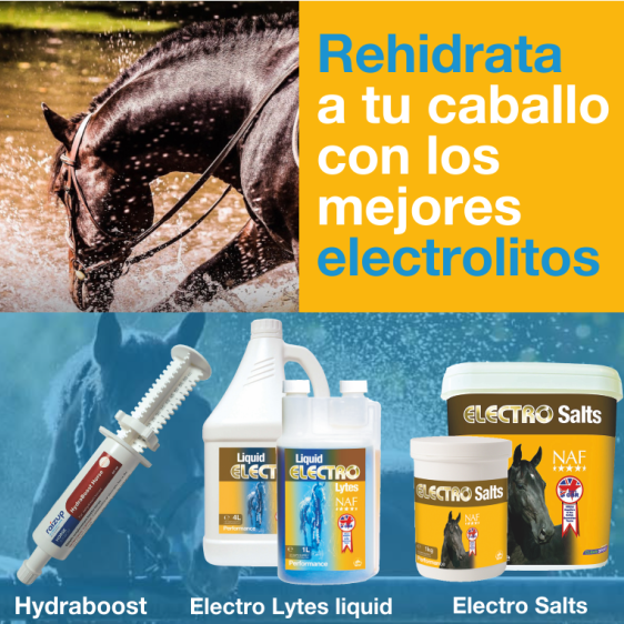 Votre cheval toujouts hydraté