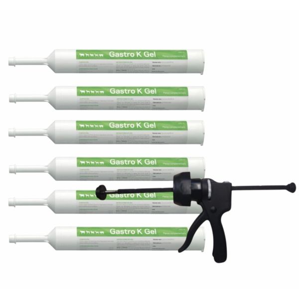 PACK 6u GASTRO K GEL 285ml + APLICADOR (11/2026)