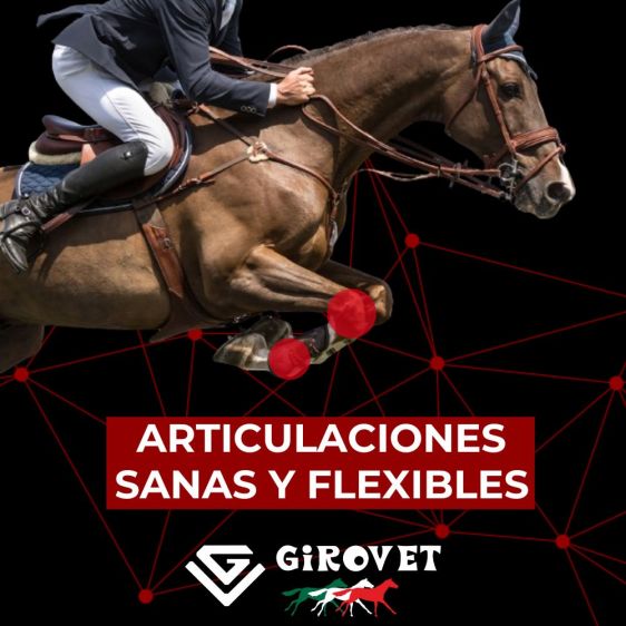 ¿Problemas articulares?