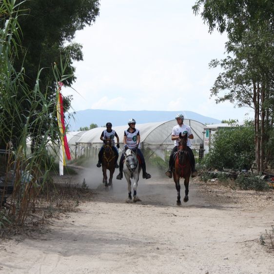 Las necesidades del caballo de Raid