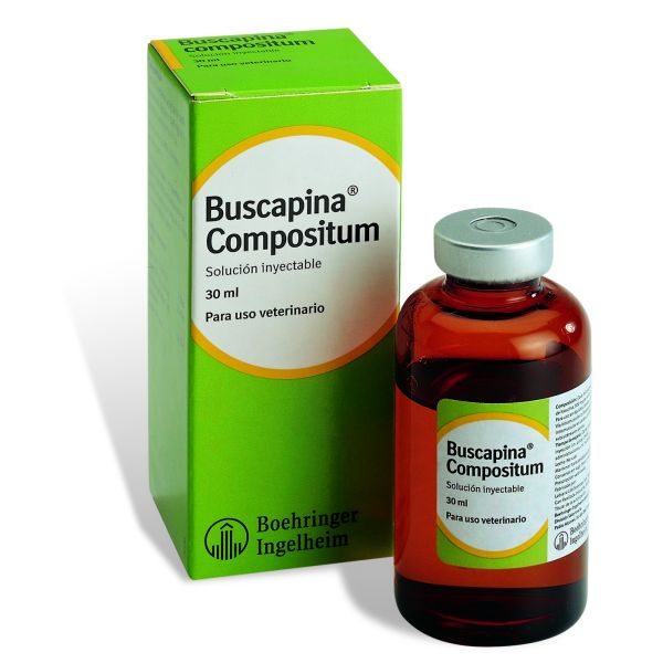 BUSCAPINA COMPOSITUM 100ML