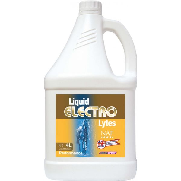 ELECTRO LYTES 4L 