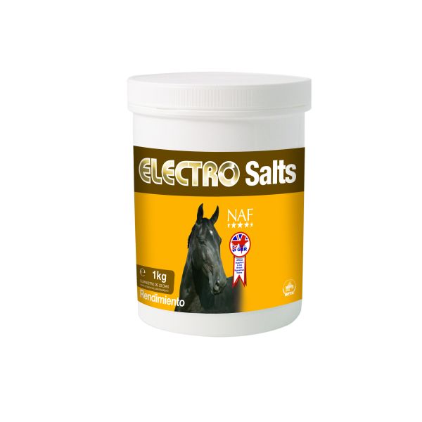 ELECTRO SALTS 1KG 