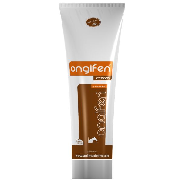 ONGIFEN 300ML
